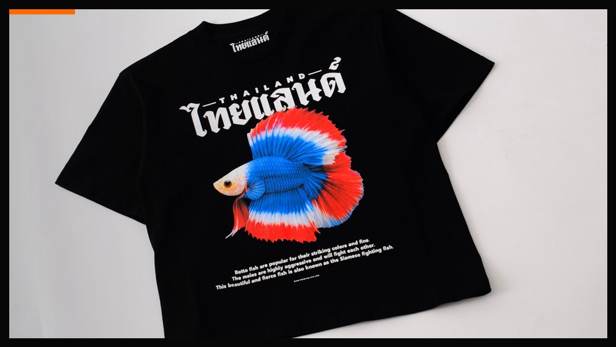 ป้องกันสีจมบนเสื้อสีเข้มในงาน DTG
